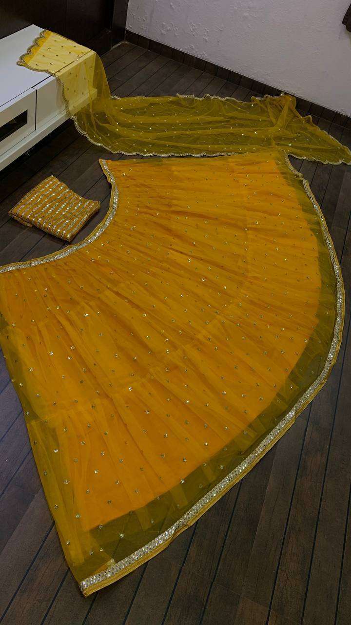 Luxury Ruffle Net Lehenga with Heavy Sequence Mirror Detailing