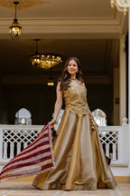 Royal Look Banarasi Lehenga with Dori Pattern Blouse