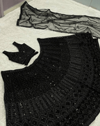 Timeless Black Net Lehenga with Sequin Detailing & Dupatta - Party Perfection