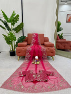 Blush Dream Organza Saree with Designer Embroidered Blouse