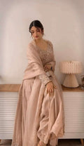 Starry Nights â€“ Designer Rembo Sequence Work Gown