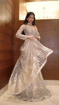Effortless Glam Saree Look- With Butterly Net