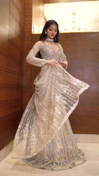 Effortless Glam Saree Look- With Butterly Net