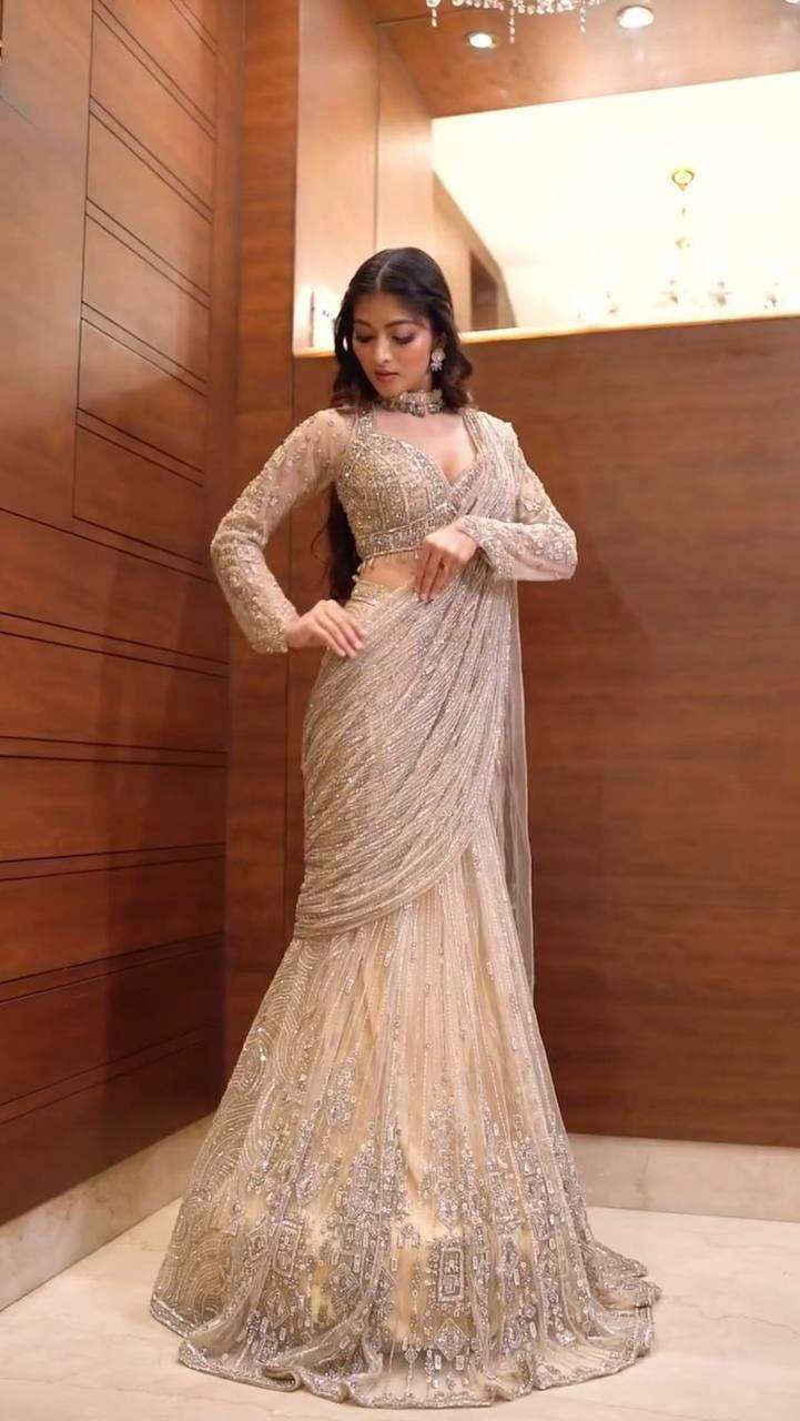 Effortless Glam Saree Look- With Butterly Net