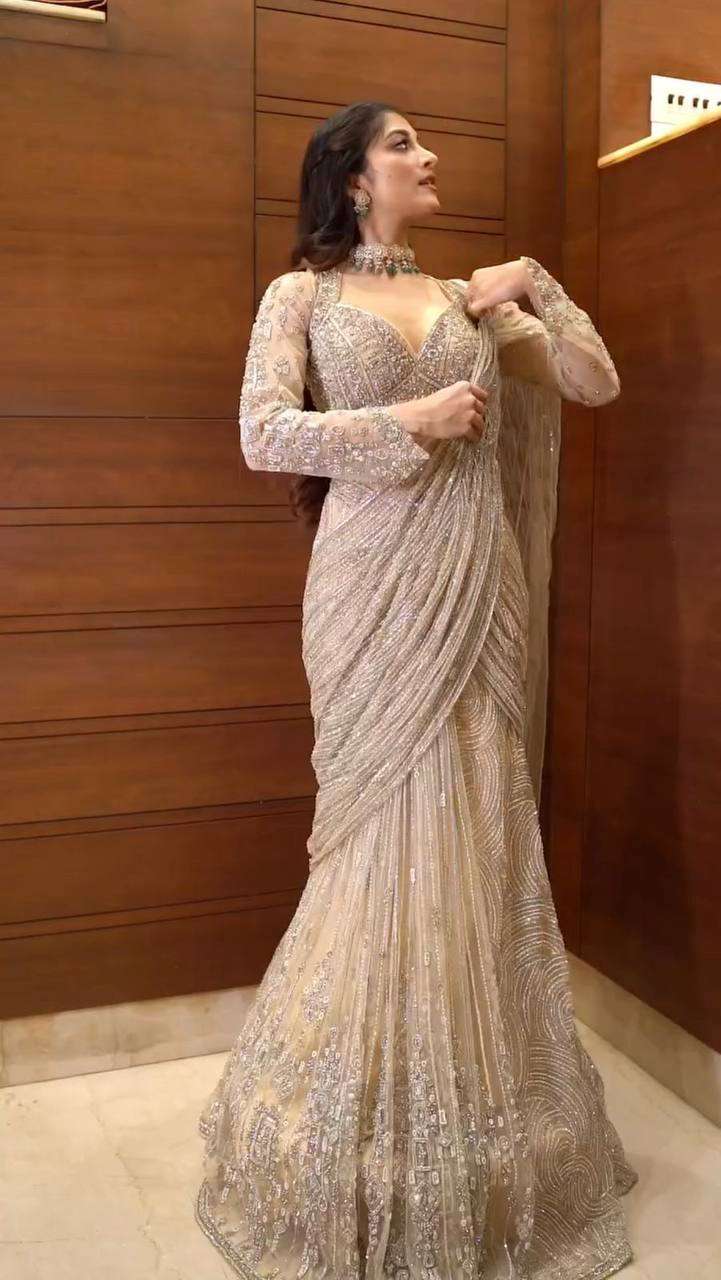 Effortless Glam Saree Look- With Butterly Net