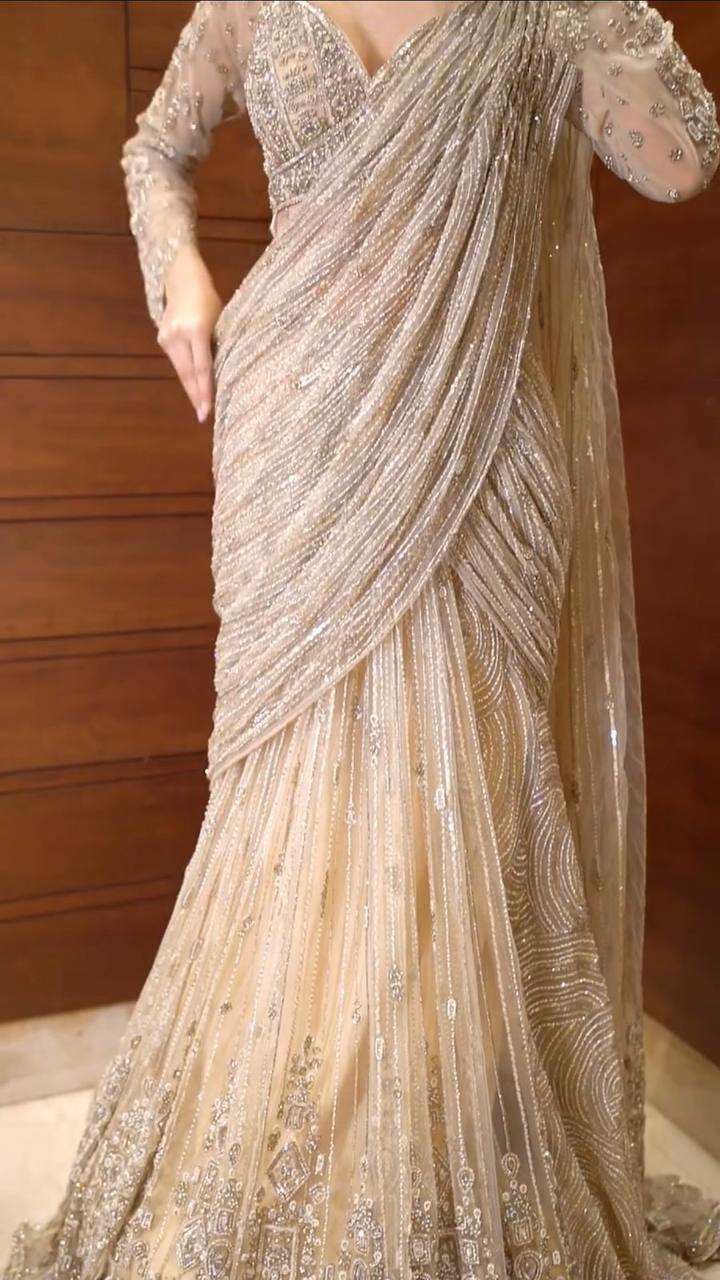 Effortless Glam Saree Look- With Butterly Net
