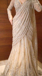 Effortless Glam Saree Look- With Butterly Net