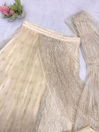 Effortless Glam Saree Look- With Butterly Net